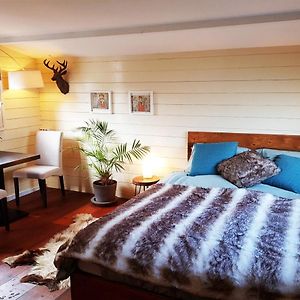 Studio met een King Size Bed